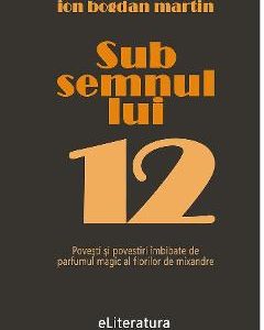 Sub semnul lui 12 - Ion Bogdan Martin