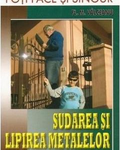 Sudarea si lipirea metalelor - Fl.M. Valceanu, Hobby Practic – ofertă, preț și specificații