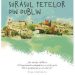 Surasul fetelor din Dublin - Cosmin Neidoni, Beletristica – ofertă, preț și specificații