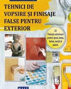 Tehnici de vopsire si finisaje false pentru exterior - Marina Niven