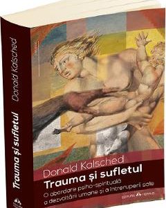 Trauma si sufletul - Donald Kalsched