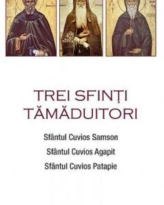 Trei sfinti tamaduitori: Sfantul Samson