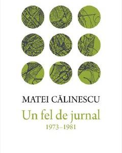 Un fel de jurnal (1973-1981) - Matei Calinescu