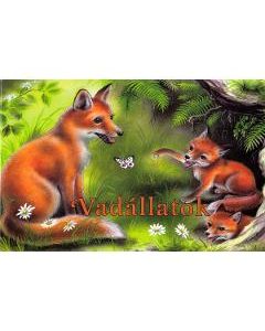 Vadallatok. Animale salbatice pliant - Preszter Norbert