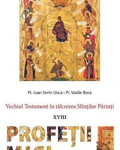Vechiul Testament in talcuirea Sfintilor Parinti: Profetii mici - Ioan Sorin Usca