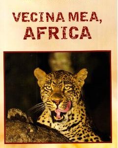 Vecina mea