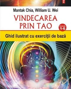 Vindecarea prin Tao. Nivelurile 1-6 - Mantak Chia